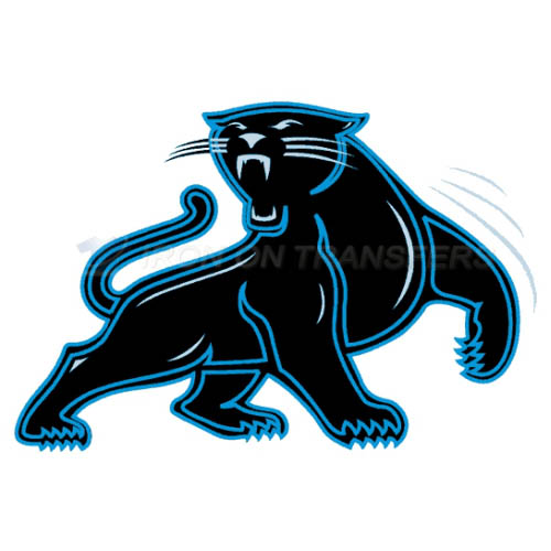 Carolina Panthers Iron-on Stickers (Heat Transfers)NO.438
